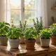 Top 10 Essential Tips for a Beautiful Home and Garden