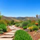 Transform your outdoor space with drought-tolerant landscaping Bay Area showcasing native plants and sustainable design.