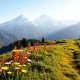 Adventure seekers navigating the picturesque Sandakphu trek amidst stunning mountain views.